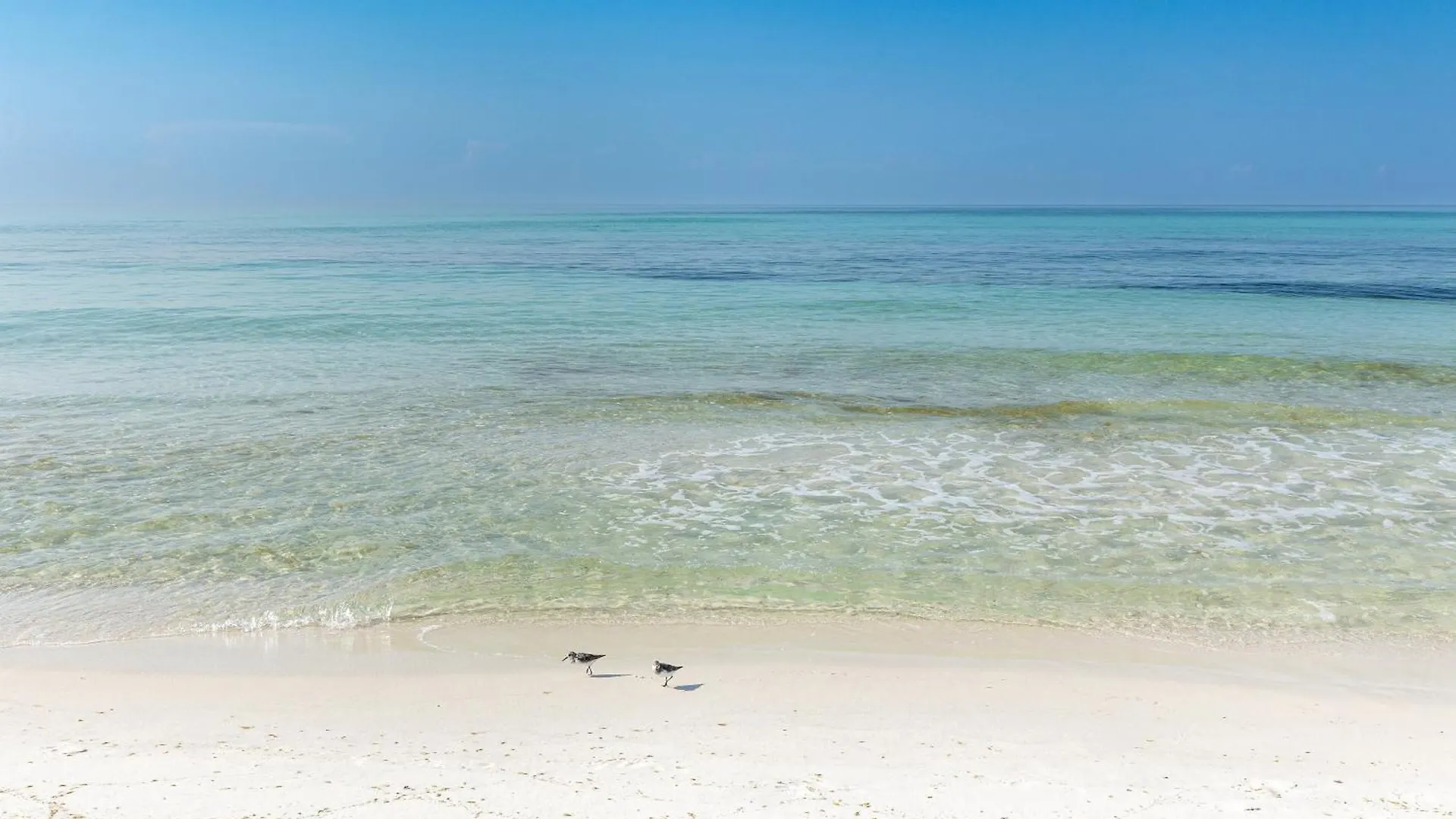 Apartment Harbor Landing 601B- By Holiday Isle Properties Destin United States